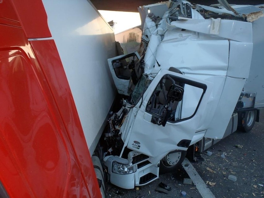 Września: Zderzenie ciężarówek na A2. Są ranni [ZDJĘCIA]