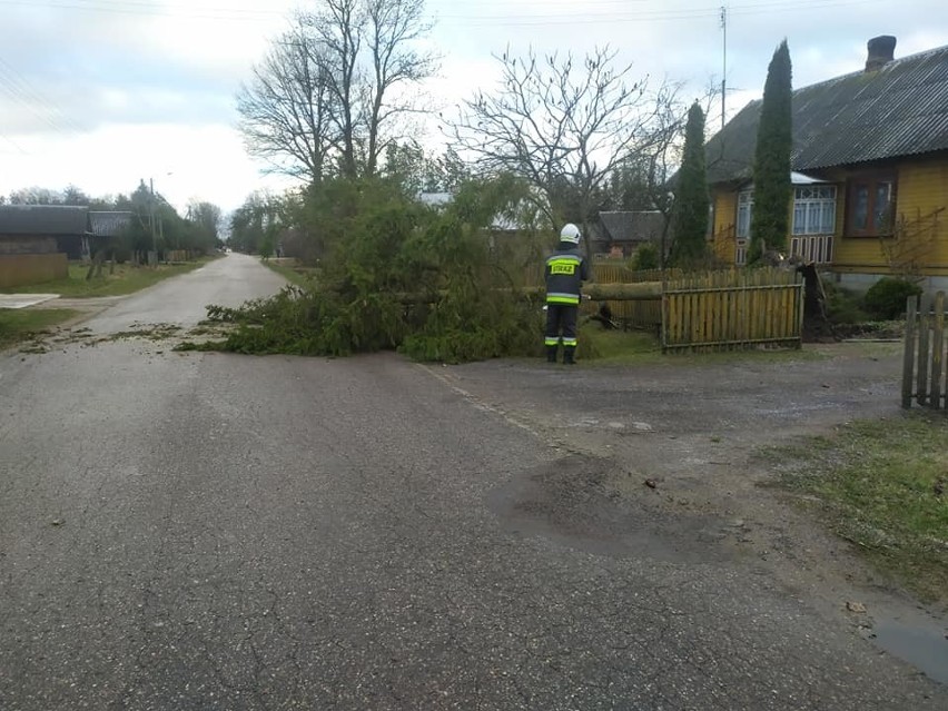 Wichury w Podlaskiem łamały drzewa i zrywały dachy. Strażacy mieli mnóstwo roboty [ZDJĘCIA]