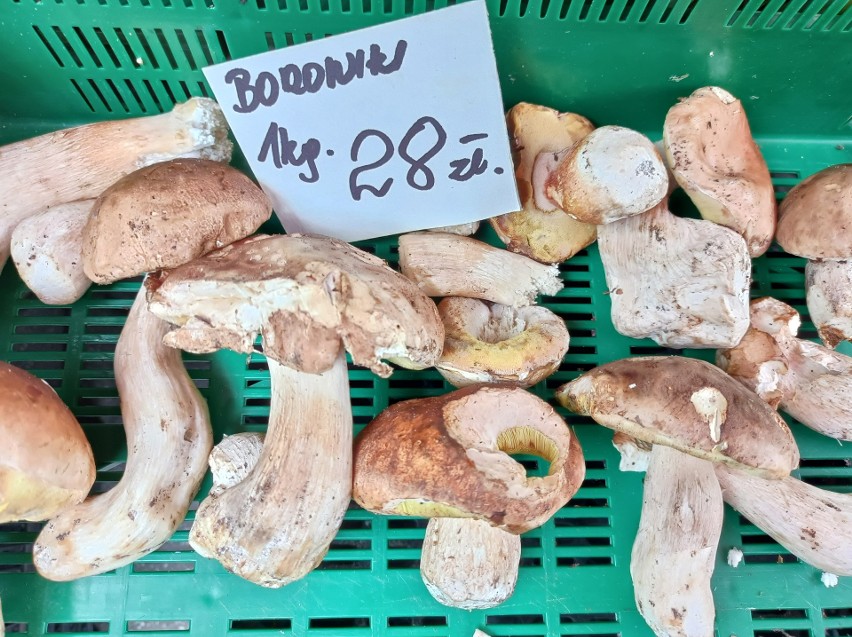 Ceny grzybów na targowisku w Katowicach