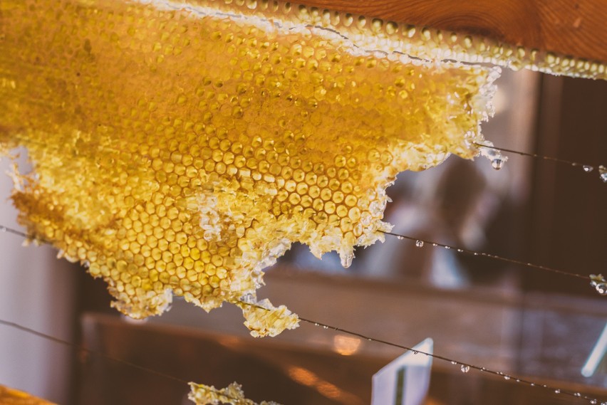 Pszczelarz potrafi dbać o pszczoły i ule, przygotowywać...