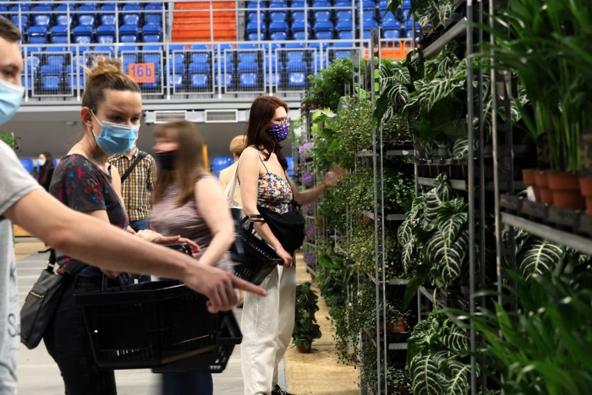 Festiwal Roślin w lubelskiej hali Globus. Miłośnicy zieleni mają w czym wybierać! Zobacz zdjęcia