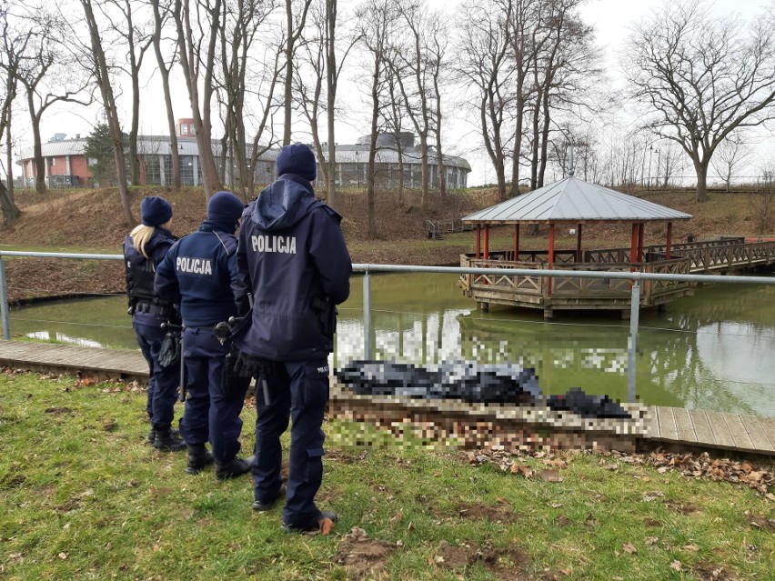 Z Klasztornych Stawów w Słupsku wyłowiono ciało mężczyzny. Zwłoki unosiły się na powierzchni wody