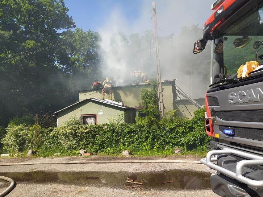 Pożar w powiecie chełmskim. Osiem zastępów straży pożarnej walczyło z ogniem. Zapalił się dom i budynki gospodarcze