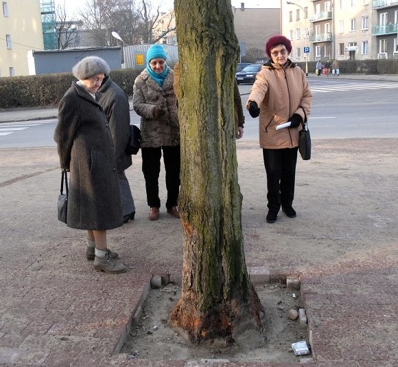 Sprawa ochrony zieleni przed budowlańcami na placu Teatralnym zjednoczyła okolicznych mieszkańców.