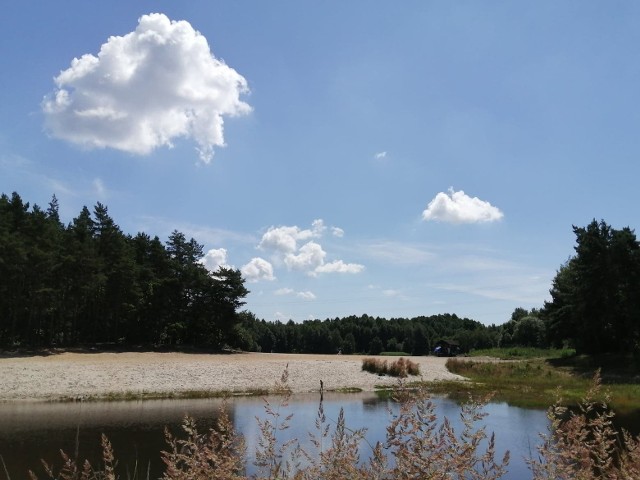 W ramach inwestycji powstaną tu m.in.: dwa pełnowymiarowe boiska do siatkówki plażowej, sezonowa strefa gastronomiczna oraz elementy małej architektury takie jak altany piknikowe, ławki i leżaki miejskie.