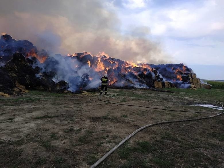 Strażacy gasili pożar przez 6 dni. 250 zastępów w akcji!