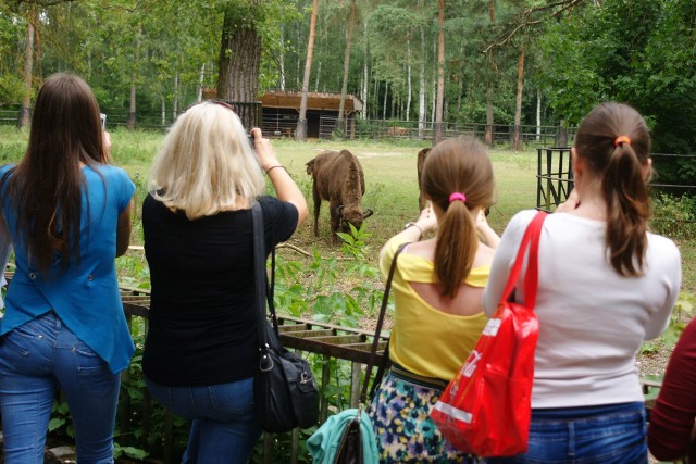 Leśny Park Kultury i Wypoczynku zakończył prace nad koncepcją tzw. Biegunarium w ubiegłym roku. Realizacja ambitnego projektu ma zostać zrealizowana w przeciągu dwóch lat. 05 lutego ogłoszony został przetarg na prace projektowe i budowlane (tryb „zaprojektuj i wybuduj”). Będzie to kolejna atrakcja w istniejącym Zoo, które obecnie poszerza swoją ekspozycje o gatunki spoza naszego kraju. Biegunarium ma znajdować się w tylnej części istniejącego Zoo.  Koszt inwestycji to 10 mln złotych, a jej czas trwania to dwa lata.Zobacz, jakie zwierzęta będzie można oglądać na nowych wybiegach w myślęcińskim zoo ►►►Zobacz foki, które zaczepiają ludzi (źródło TVN/X-News):