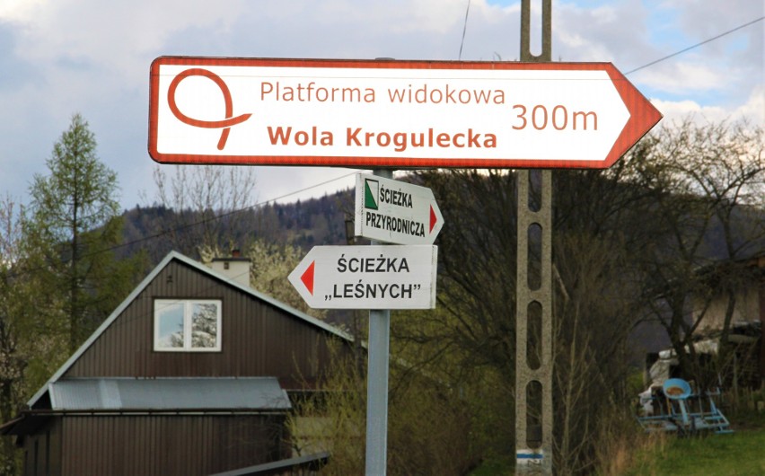 Wola Krogulecka. Co można zobaczyć z platformy widokowej [ZDJĘCIA]