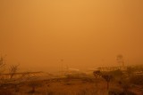 Burza piaskowa znad Sahary zaatakowała Wyspy Kanaryjskie [WIDEO] Setki lotów przesunięto lub odwołano. Turyści koczowali na lotniskach