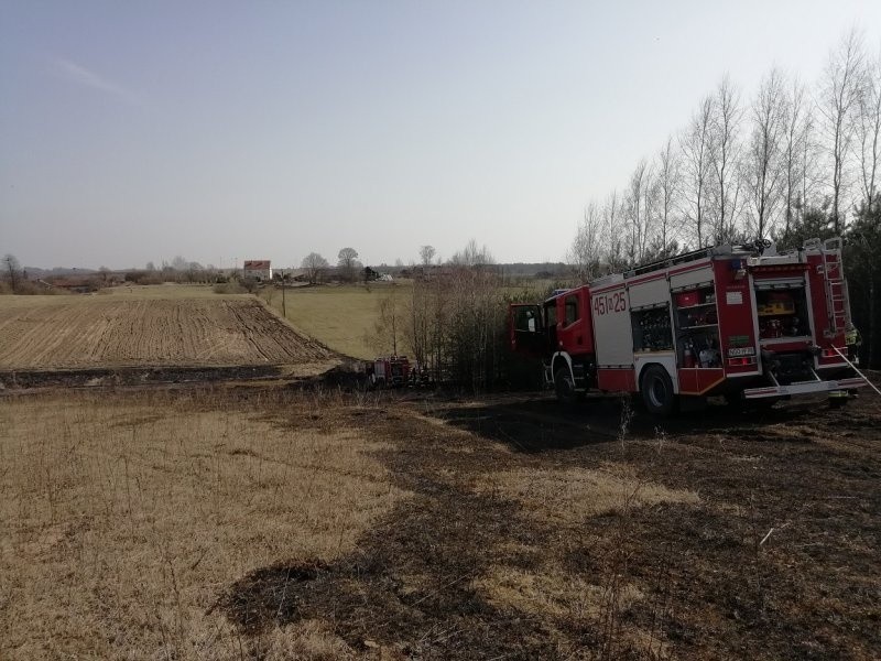 Na miejscu okazało się, że pali się sucha trawa na...