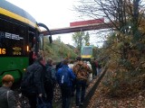 MPK Poznań: Tramwaju zasłabł pasażer. Ruch na trasie PST wstrzymano