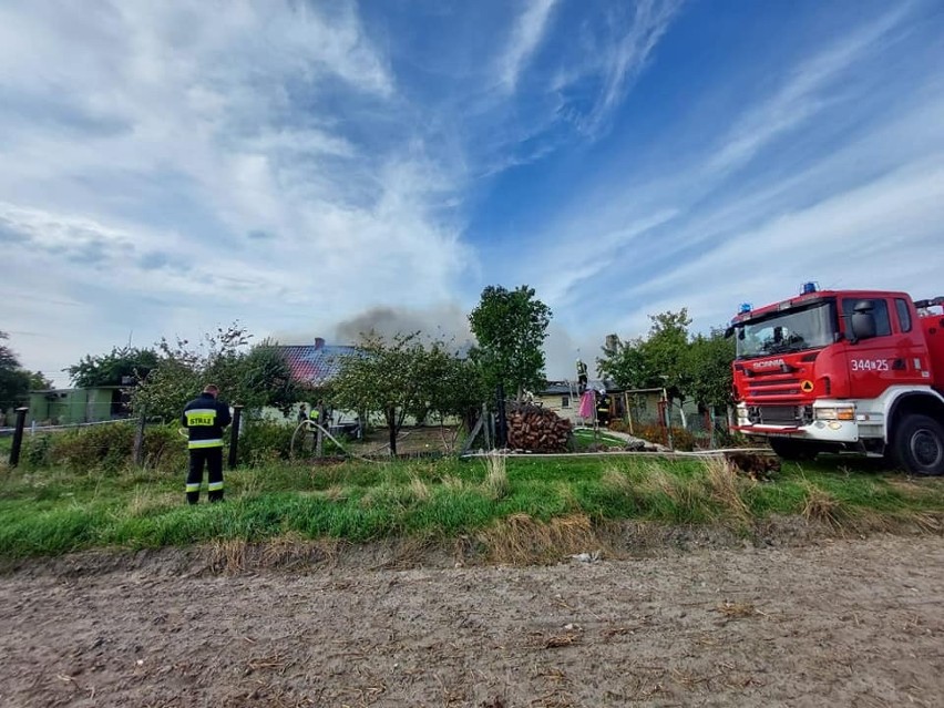 Groźny pożar w Skąpe w gminie Chełmża. Spłonęły domki szeregowe, straty są ogromne