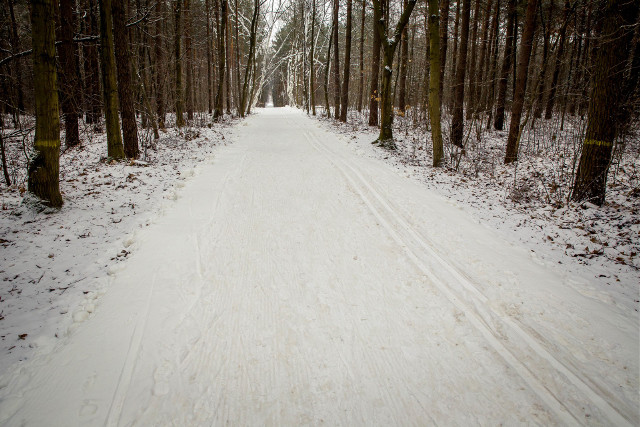 Trasa na Pietraszach zyskała nowe oblicze. Sezon na narty już blisko [ROZMOWA]