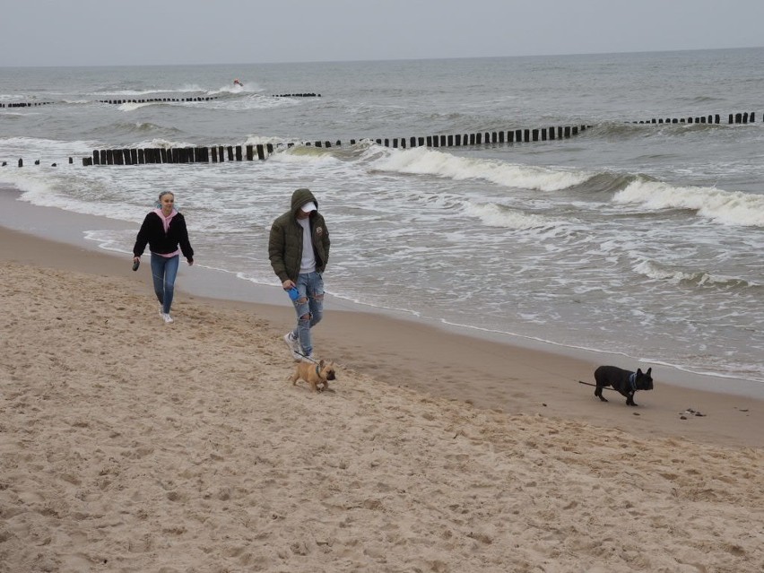 Niedzielny spacer w Mielnie. Na plaży wielu spacerowiczów i morsy [ZDJĘCIA]