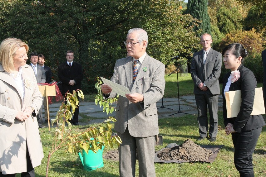 Hanna Zdanowska i ambasador Japonii sadzili drzewka w ogrodzie botaniczym [ZDJĘCIA]
