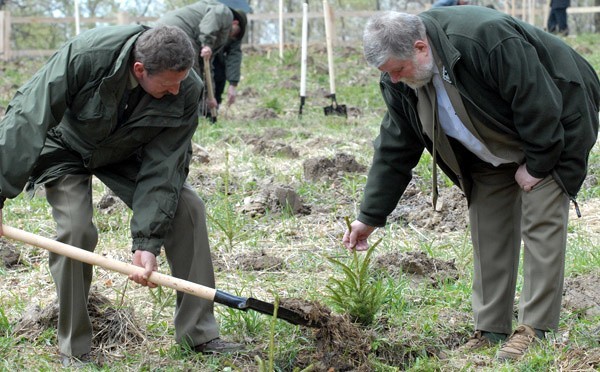 Sadzenie lasu w Rawie Ruskiej na Ukrainie