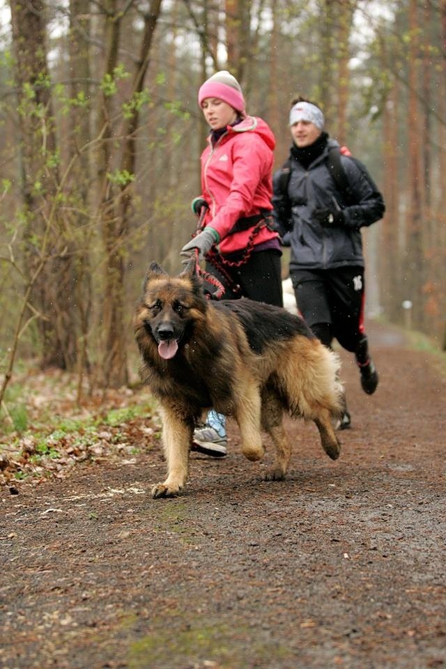 Puchar Polski w Dogtrekkingu Lubliniec 13.04.2019.