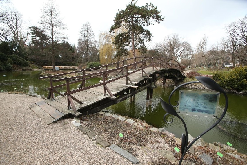 Wrocław: Ogród botaniczny umiera. Trwa szukanie winnych: ogród wskazuje pobliskiego dewelopera, deweloper obwinia klimat