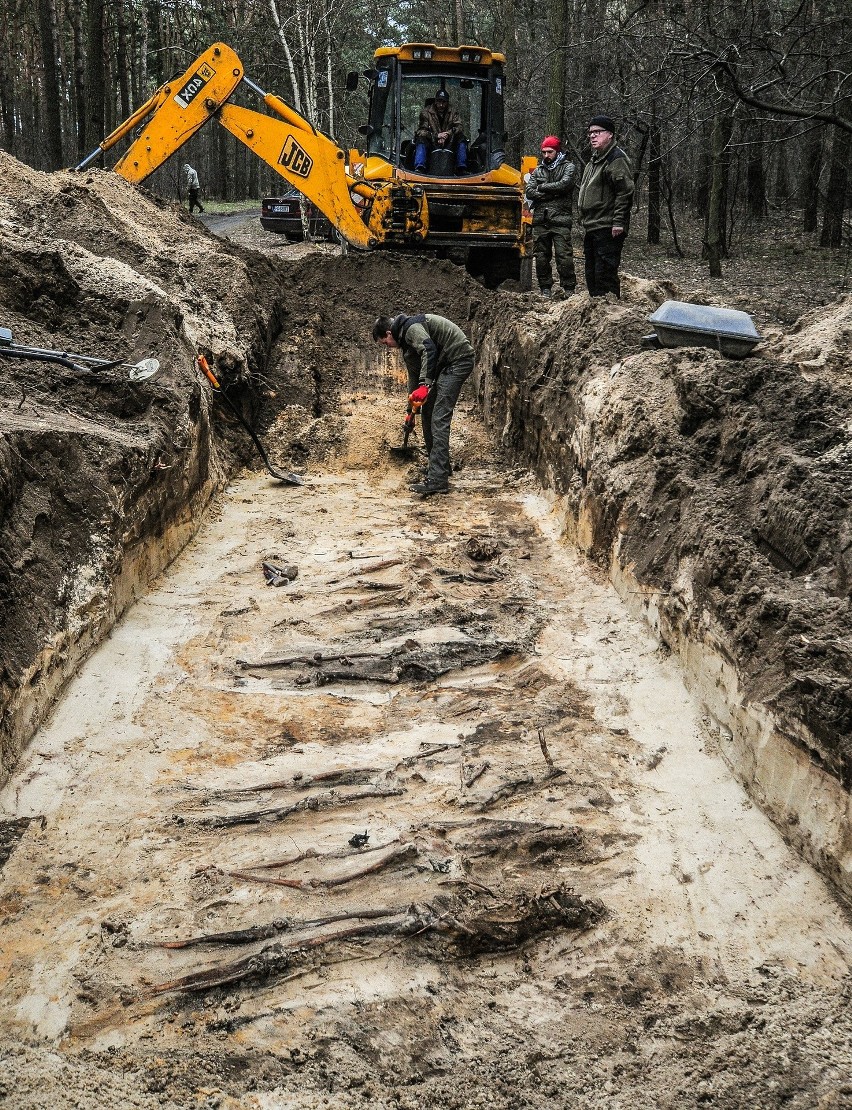 W lesie znaleziono szczątki 300 osób. Bez głów