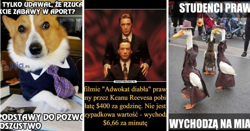 Najlepsze memy o prawnikach. Sędziowie i adwokaci to popularny temat do żartów w Internecie. Te żarty rozbawią Was do łez!