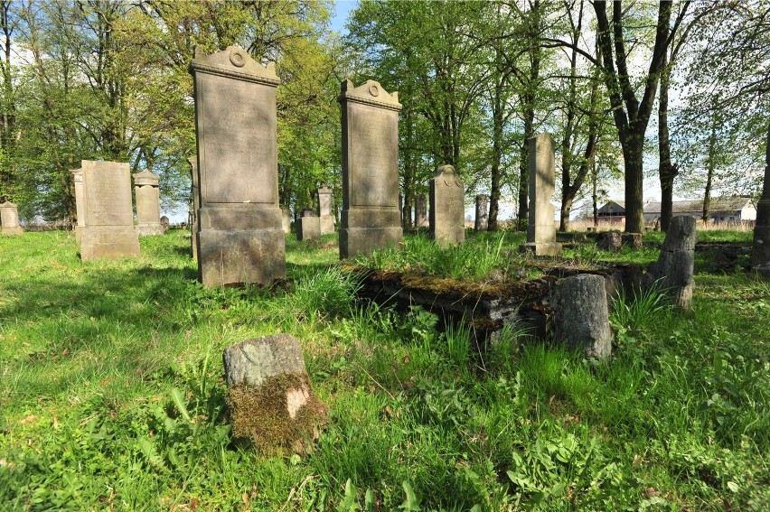 Stogi Malborskie, największy zachowany cmentarz mennonicki...