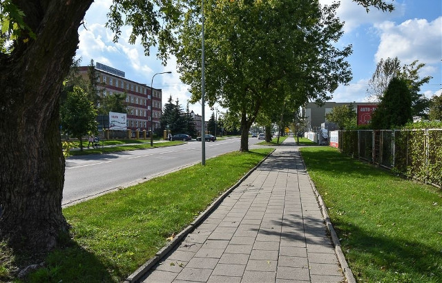 Nowe ścieżki rowerowe przy ul. Hetmańskiej i Pogodnej. Miasto szuka wykonawcy