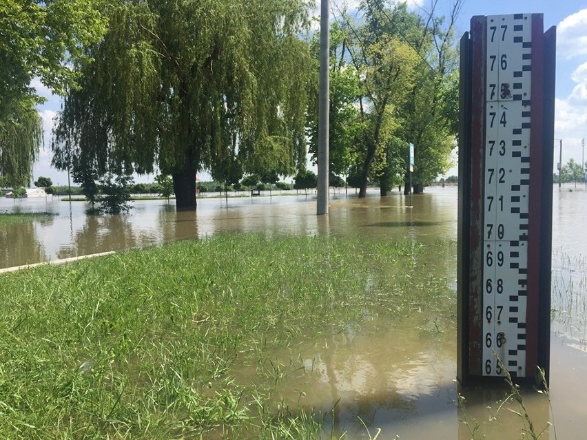 Trwa walka z wielką wodą. W Sandomierzu i Zawichoście przekroczone stany alarmowe. Trwa umacnianie wałów