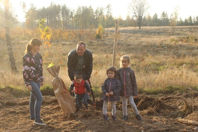 W Nadleśnictwie Bytów na terenie leśnictwa Czarna Dąbrowa w okolicach miejscowości Półczno została zorganizowana akcja pod hasłem "Jedno dziecko-jedno drzewo".