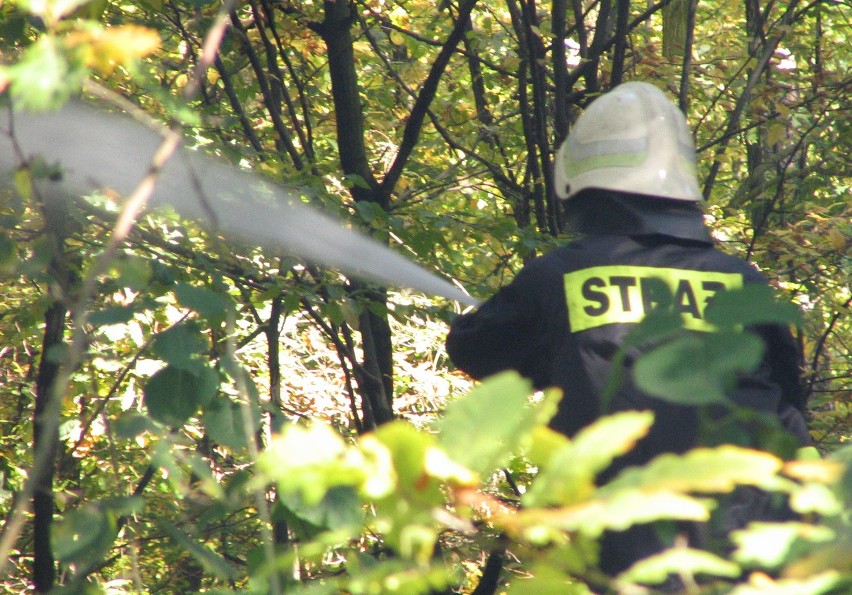 Gmina Stara Błotnica: podpalił śmiecie w lesie, złapali go policjanci 