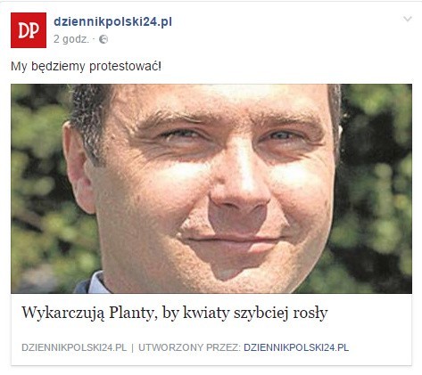 Wykarczują Planty, posadzą kwiatki i borówki