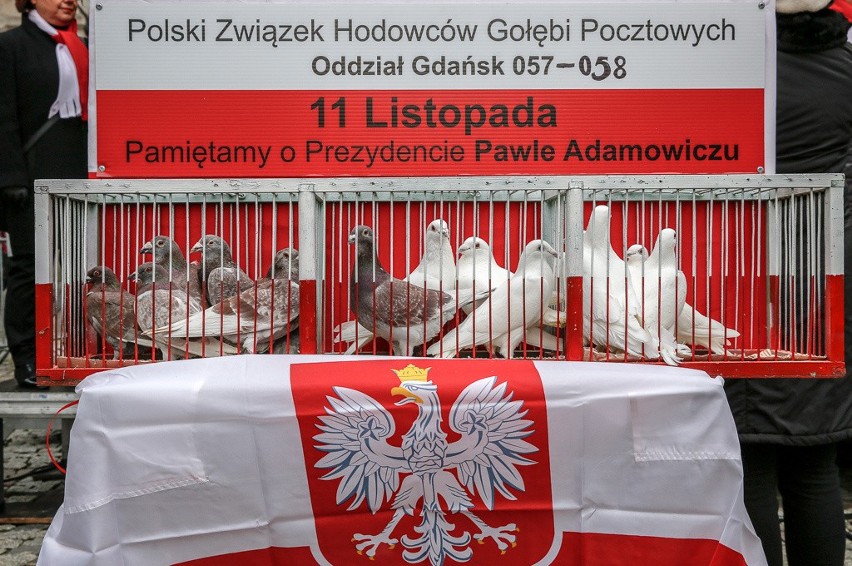 Obchody Święta Niepodległości na Pomorzu. Marsze, parady, koncerty. Jak świętowaliśmy 11 listopada na Pomorzu? [GALERIA] 