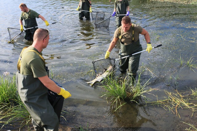 Żołnierzy wyławiają z rzeki śnięte ryby. Pracuje przy tym ok. 150 żołnierzy