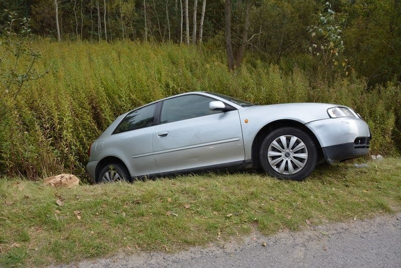 Bojanów. Policyjny pościg za pijanym kierowcą! Uciekinier skończył w rowie, podczas interwencji padł strzał (ZDJĘCIA)