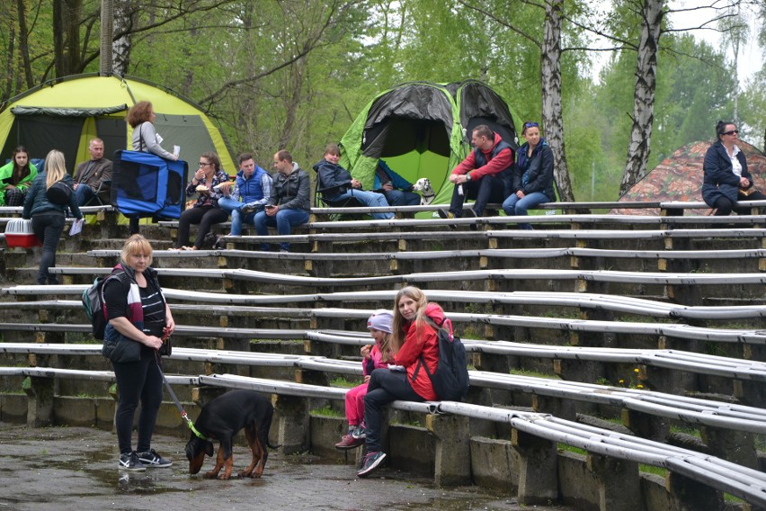 Tłumy na wystawie psów w Rybniku-Kamieniu GALERIA