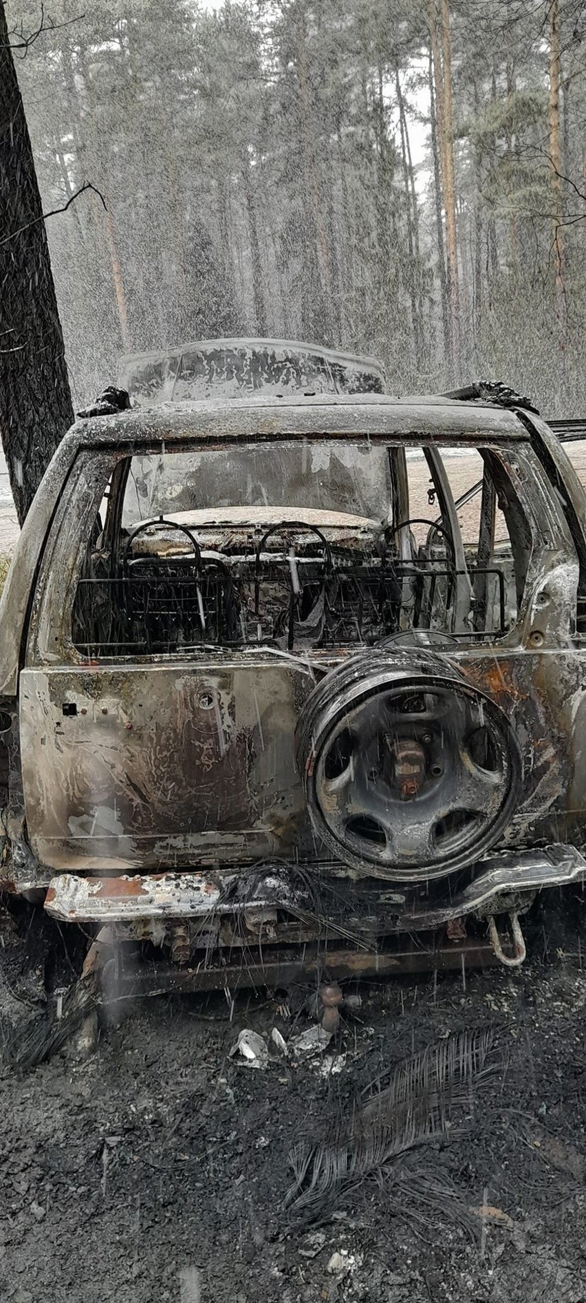 Spalony samochód w lesie w gminie Masłów. Co się wydarzyło? Zobacz zdjęcia