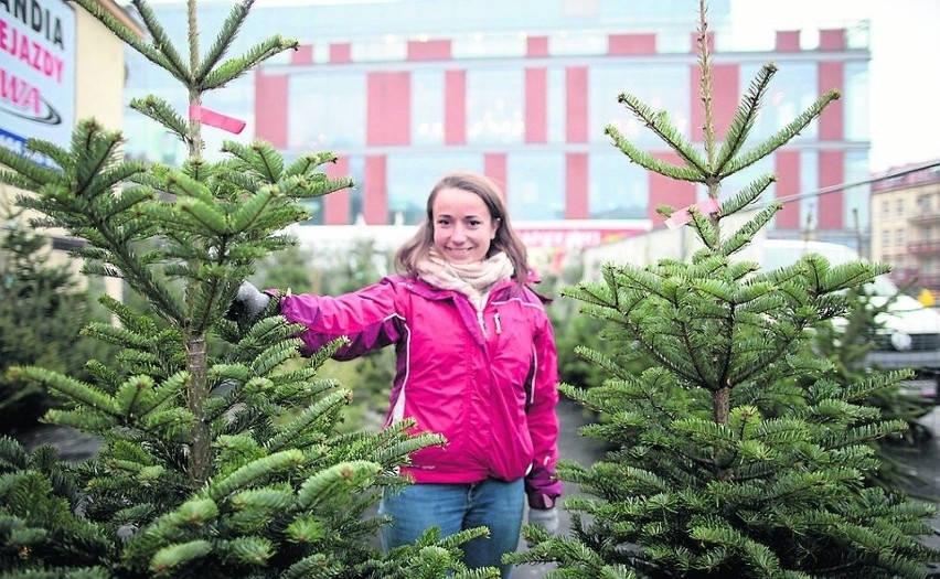 Święta bez choinki to nie święta. Jedni z nas wolą sztuczne...