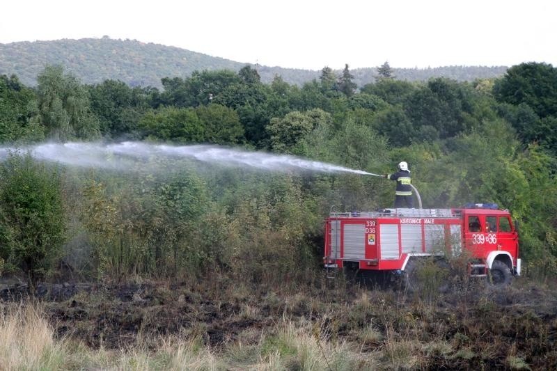 Sobótka: Pożar góry Ślęża. Spłonął hektar łąk i drzew (FILM, ZDJĘCIA)