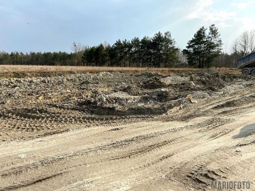 Ludzkie szczątki znalezione w Opolu. Zauważył je kierowca...