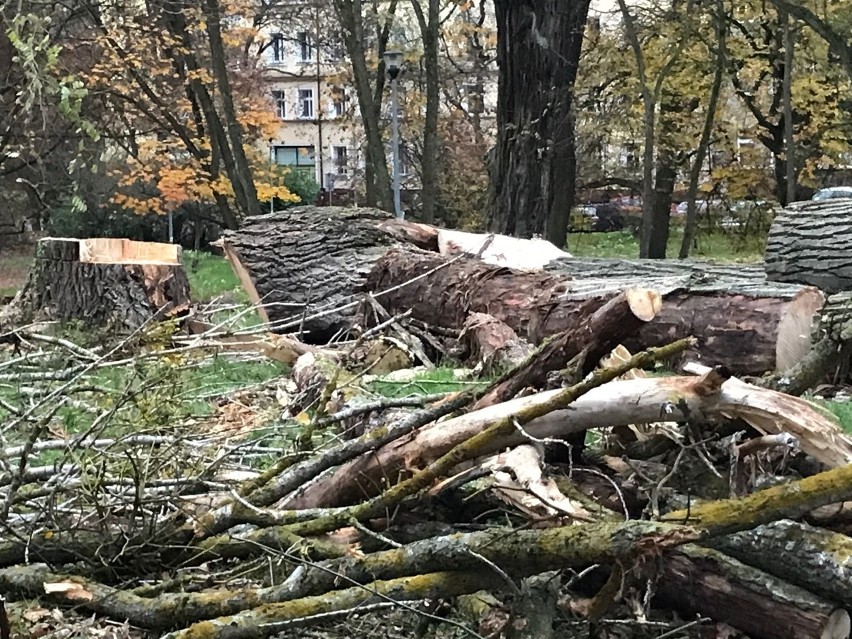 Wycinka drzew w parku przy ul. Noakowskiego
