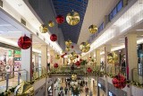 Gdzie Polacy robią świąteczne zakupy? [lista najpopularniejszych sklepów]
