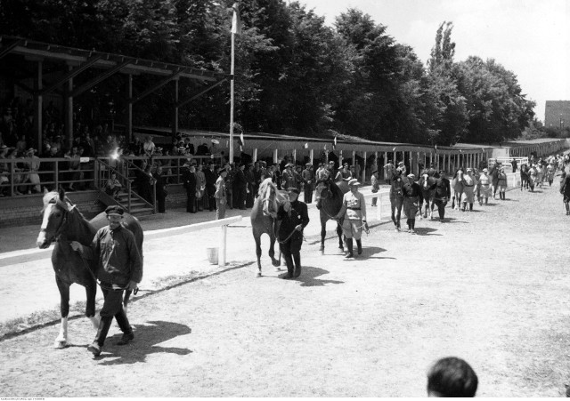 Pokaz koni w Lublinie w 1939 roku na zdjęciach