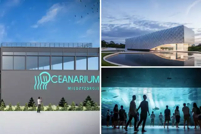 - Szacujemy, że nowe oceanarium może być gotowe w 2028 roku - mówi Marek Stępień, przyszły inwestor Oceanarium w Kołobrzegu (wizualizacje po prawej) i właściciel Oceanarium w Międzyzdrojach (wizualizacje po lewej).