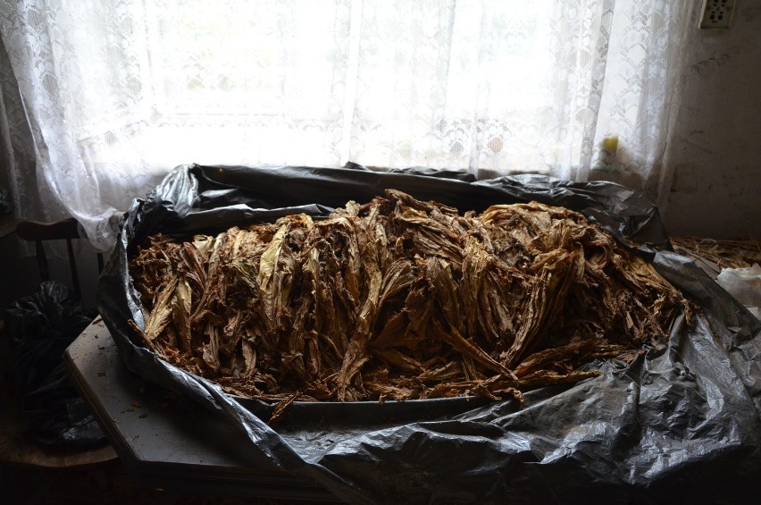 Żegocina.54-latka w domu produkowała papierosy z nielegalnego tytoniu