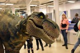 Dzień Dinozaura w Centrum Przyrodniczym w Zielonej Górze. Weekend pełen atrakcji 