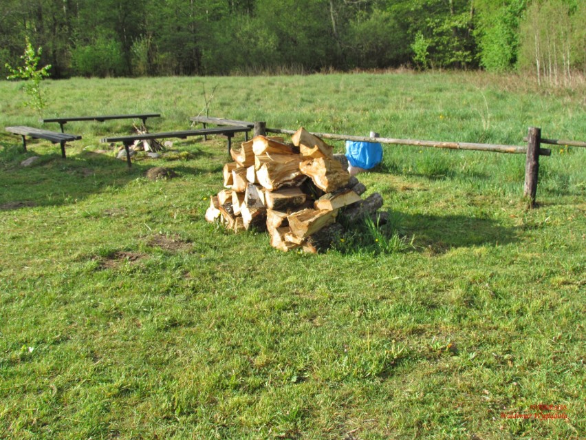 Na jeziorze Kopieniec Duży w Czarnej Dąbrówce rozegrano...