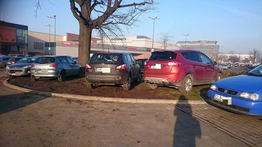 Dzikie tłumy w galeriach handlowych. Kierowcy rozjechali parking przy Magnolii [ZDJĘCIA]