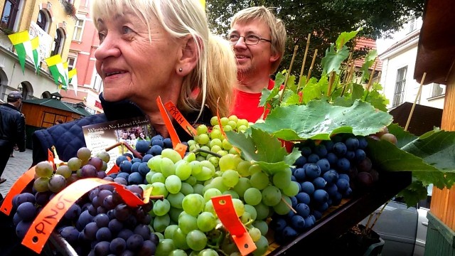 Krystyna i Jarosław Lewandowscy z Winnicy na Leśnej Polanie w Proczkach koło Zaboru