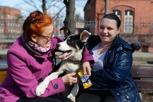 Dżeki, który znalazł już nowy dom, na zdjęciu ze swymi wcześniejszymi dobrodziejkami: Krystyną Wrzecionkowską z TTOPZ (z lewej) i Mileną Jarco