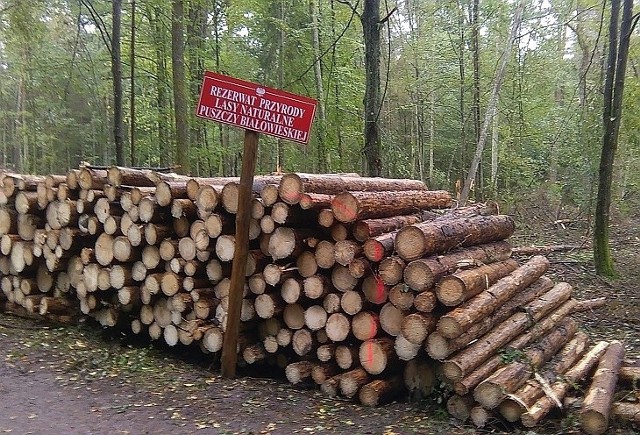 Nieznani sprawcy przestawili znak informujący o rezerwacie przyrody