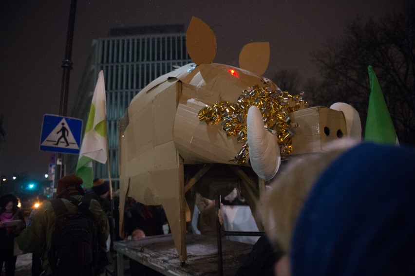 Protest przeciw odstrzałowi dzików pod Sejmem (9/01/2019)